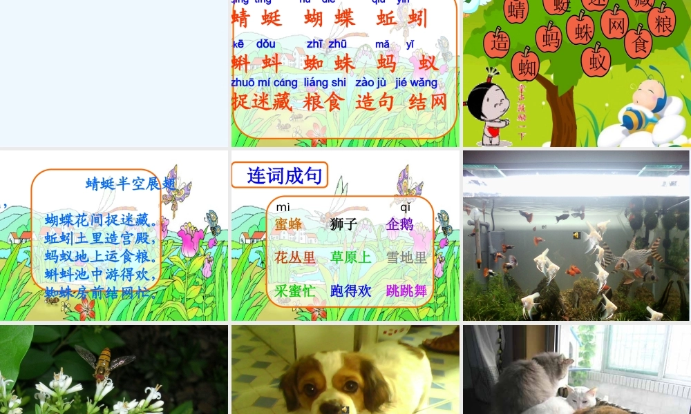 (部编)人教语文2011课标版一年级下册5.《动物儿歌》