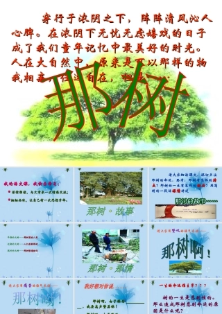 九年级语文下册 310(那树)课件1 新人教版  课件