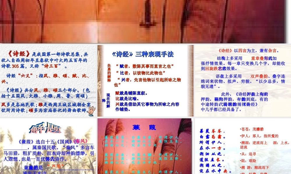 九年级语文下册：第25课诗词六首之蒹葭课件语文版 课件