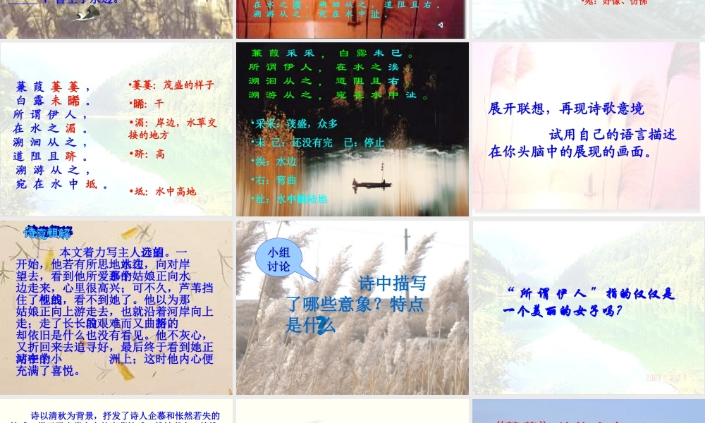 九年级语文下册：第25课诗词六首之蒹葭课件语文版 课件