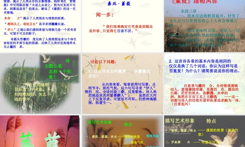 九年级语文下册：第25课诗词六首之蒹葭课件语文版 课件