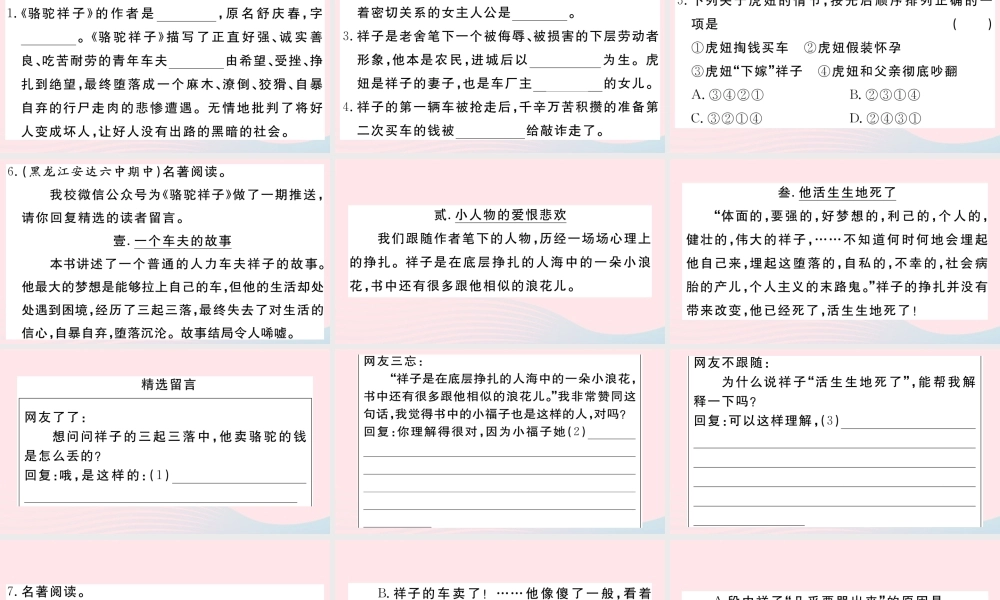 文下册 专题七 名著阅读习题课件 新人教版 课件