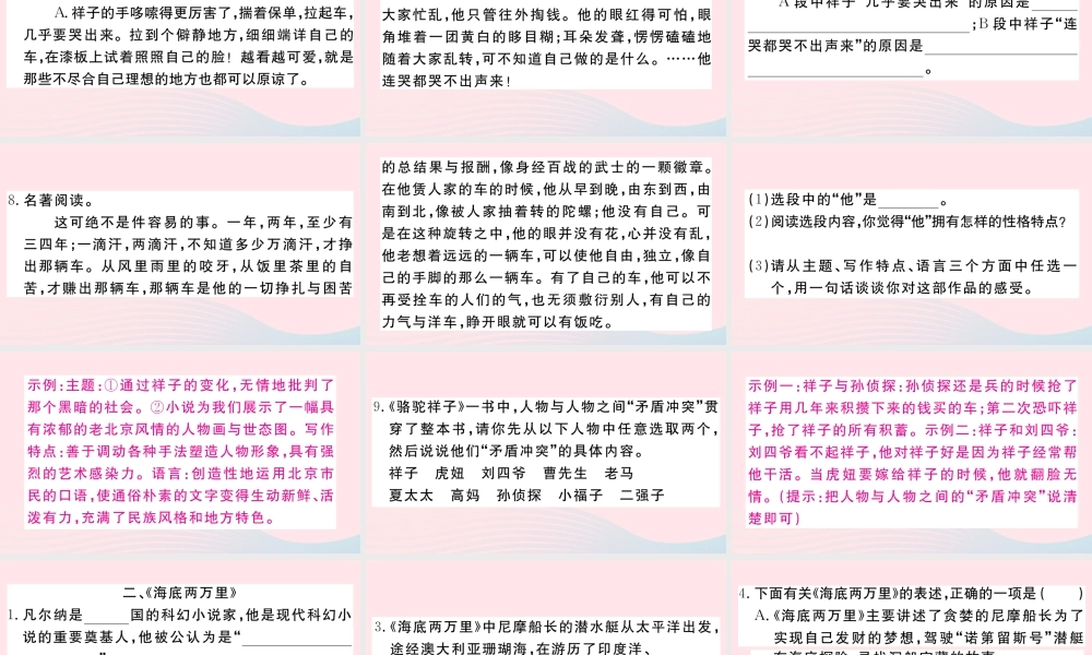 文下册 专题七 名著阅读习题课件 新人教版 课件