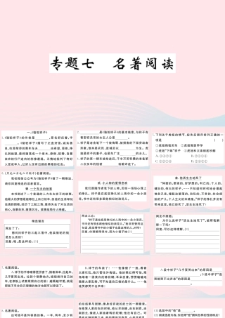 文下册 专题七 名著阅读习题课件 新人教版 课件