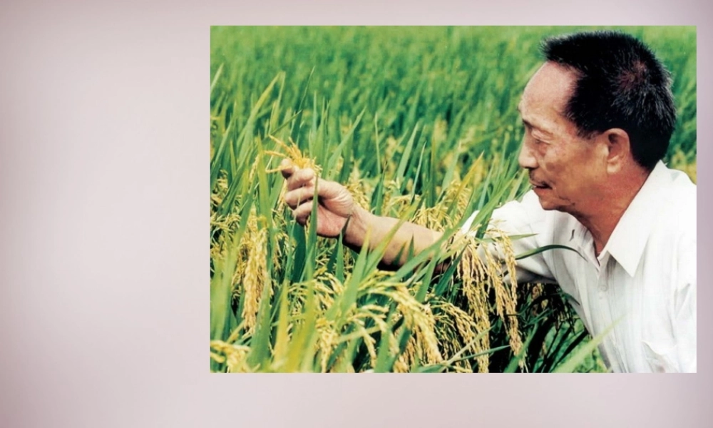 七年级语文上册 第五单元 第21课(永远执着的美丽)课件 沪教版五四制 课件