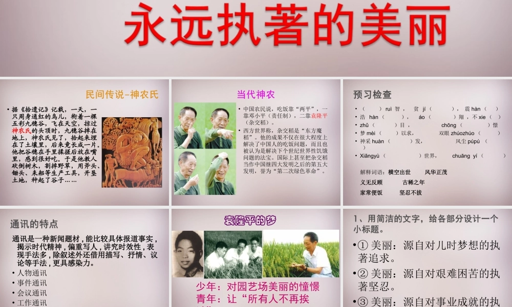 七年级语文上册 第五单元 第21课(永远执着的美丽)课件 沪教版五四制 课件