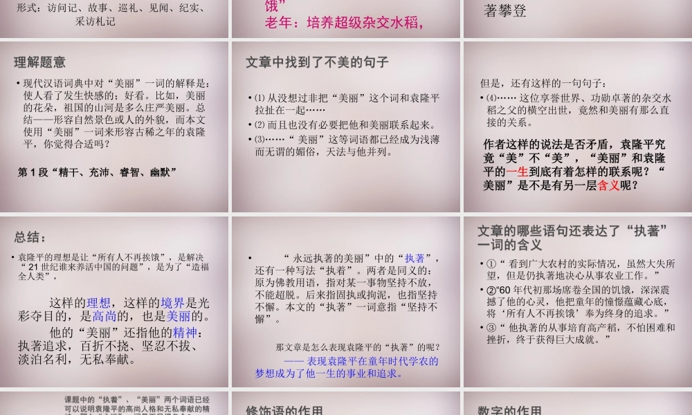 七年级语文上册 第五单元 第21课(永远执着的美丽)课件 沪教版五四制 课件