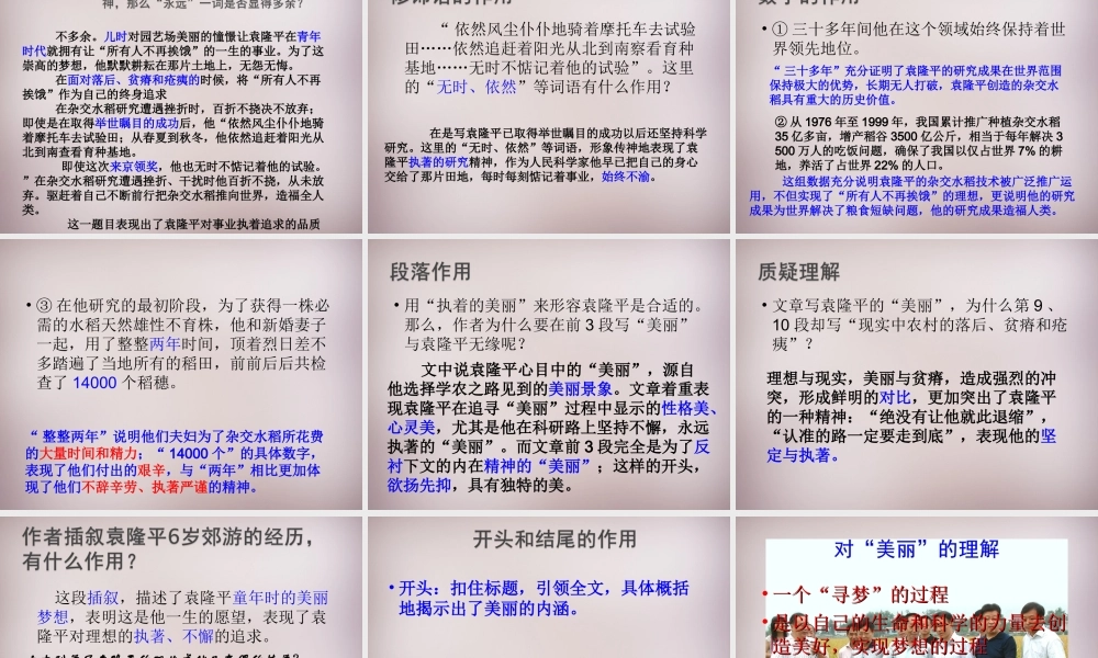 七年级语文上册 第五单元 第21课(永远执着的美丽)课件 沪教版五四制 课件