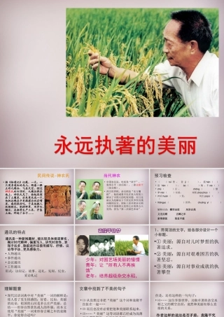 七年级语文上册 第五单元 第21课(永远执着的美丽)课件 沪教版五四制 课件