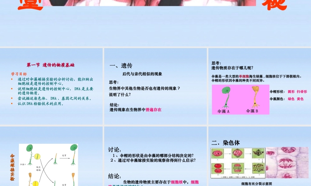 八年级生物上册 第四单元第四章第一节遗传的物质基础教学课件 济南版 课件