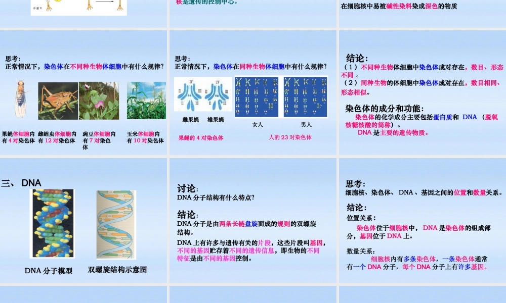 八年级生物上册 第四单元第四章第一节遗传的物质基础教学课件 济南版 课件