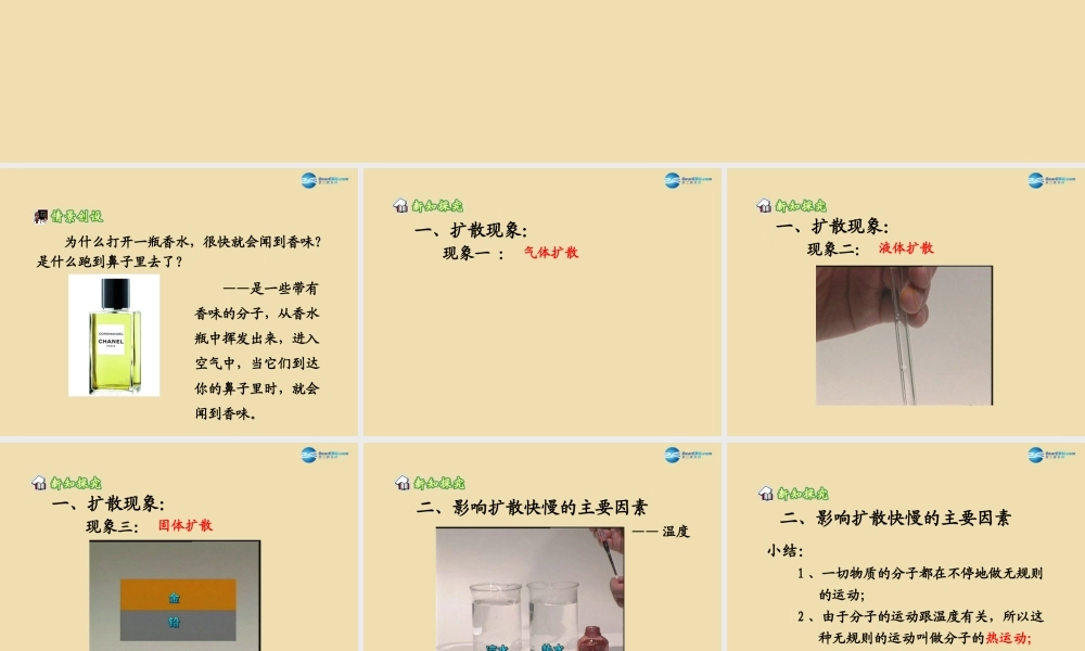 八年级物理下册 第十章 从粒子到宇宙 第2节(分子动理论的初步认识)参考课件 粤教沪版 课件