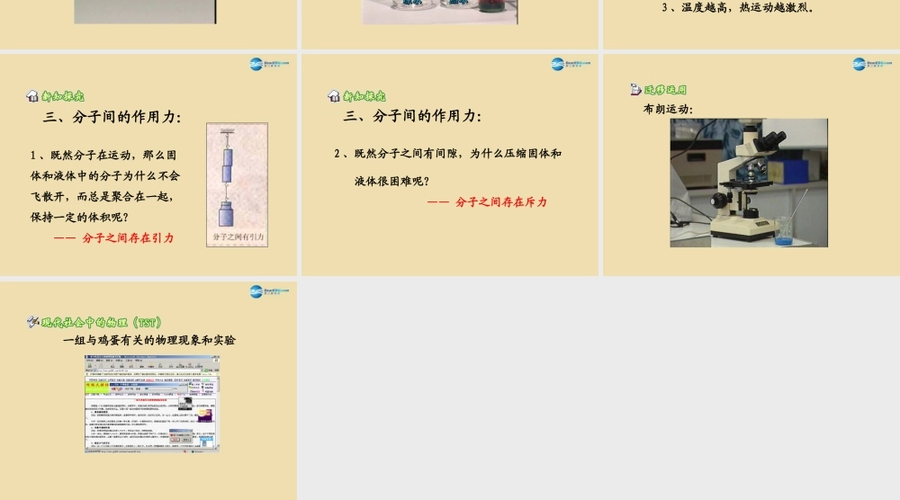 八年级物理下册 第十章 从粒子到宇宙 第2节(分子动理论的初步认识)参考课件 粤教沪版 课件