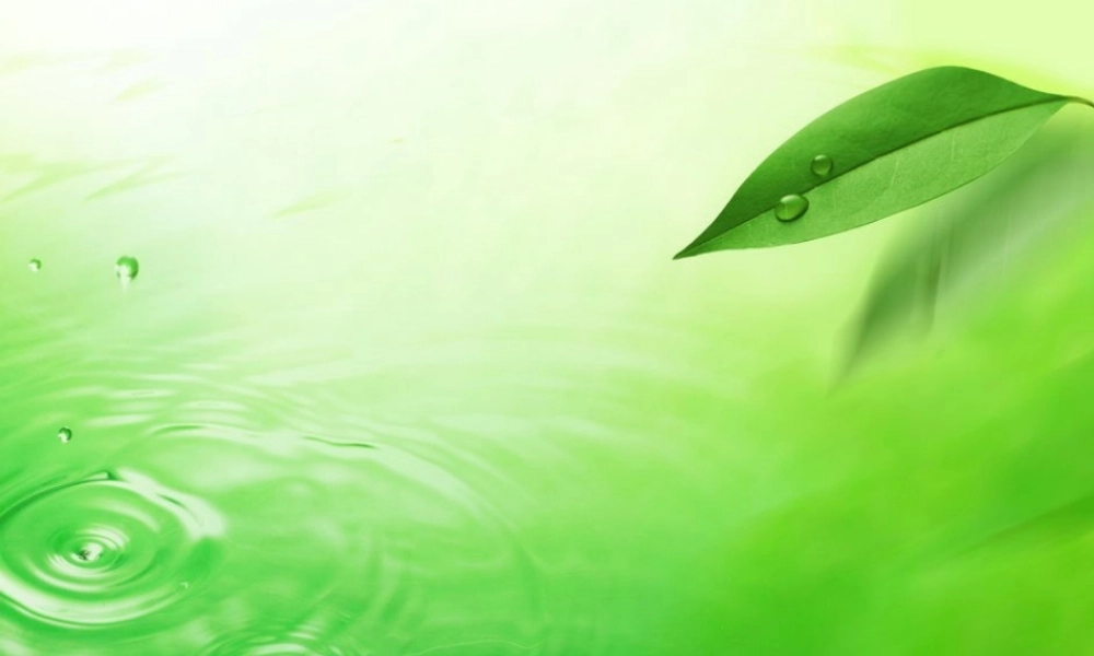 名著推荐与阅读《西游记》课件