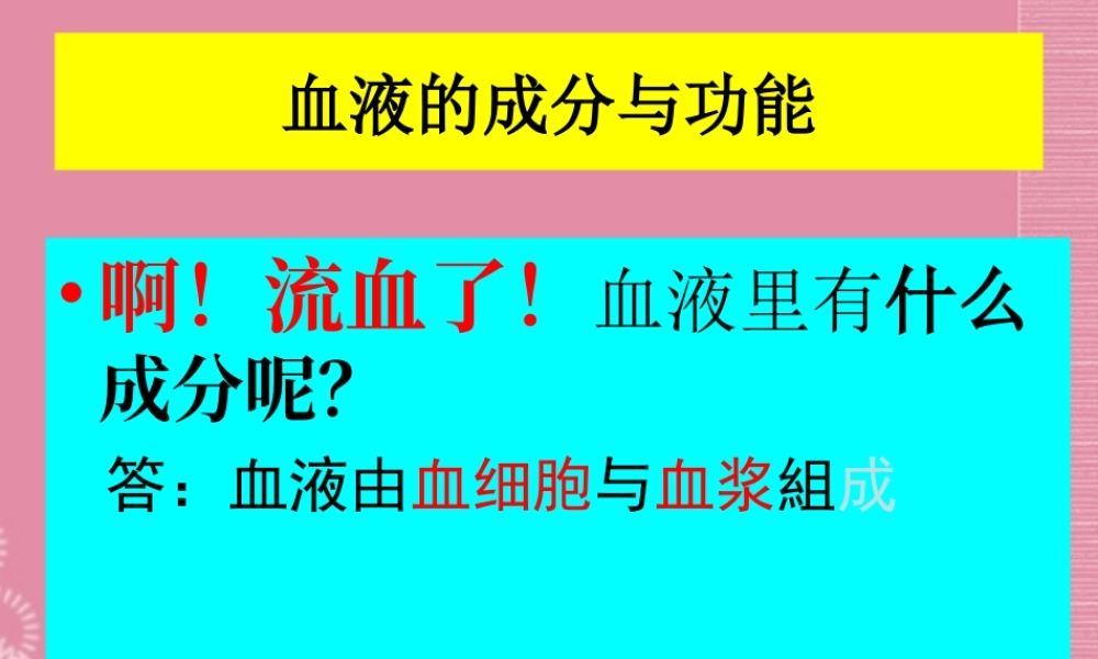 七年级生物下册 血流的管道—血管课件 新人教版 课件