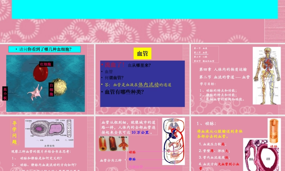 七年级生物下册 血流的管道—血管课件 新人教版 课件