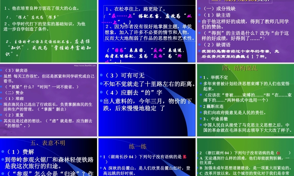 广东省地区初三语文病句修改专题 人教版 课件