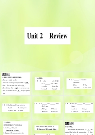 七年级英语上册 Unit 2 Colours and Clothes Review课件 (新版)冀教版 课件