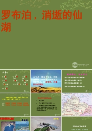 八年级语文下册 12 罗布泊，消逝的仙湖课件1 新人教版 学案-2