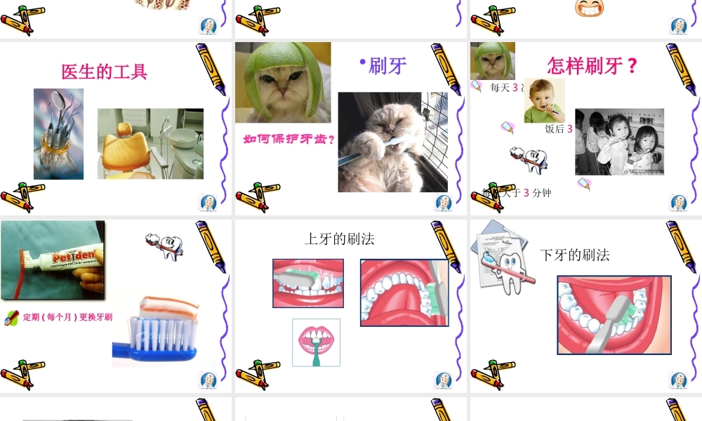 大班科学活动《认识牙齿》