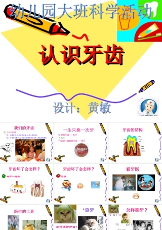 大班科学活动《认识牙齿》