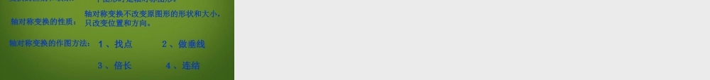 八年级数学下册(轴对称变换)课件 新人教版 课件