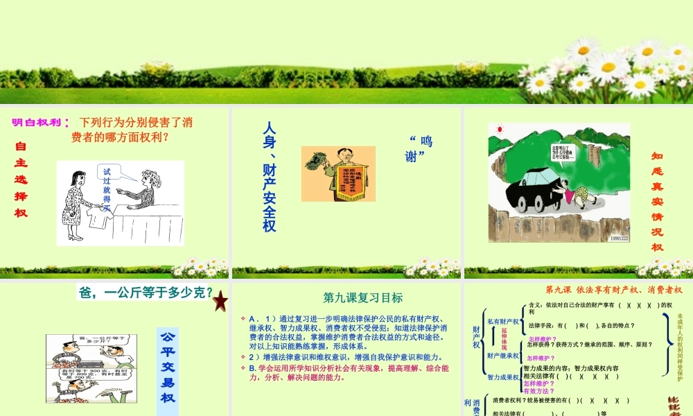 八年级政治(依法享有财产权消费者权)复习课件 人教新课标版 课件