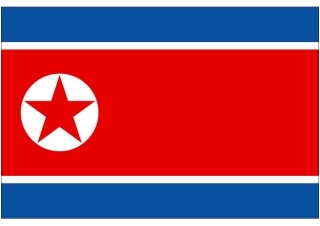 世界杯纸模：助威国旗(G2-朝鲜)