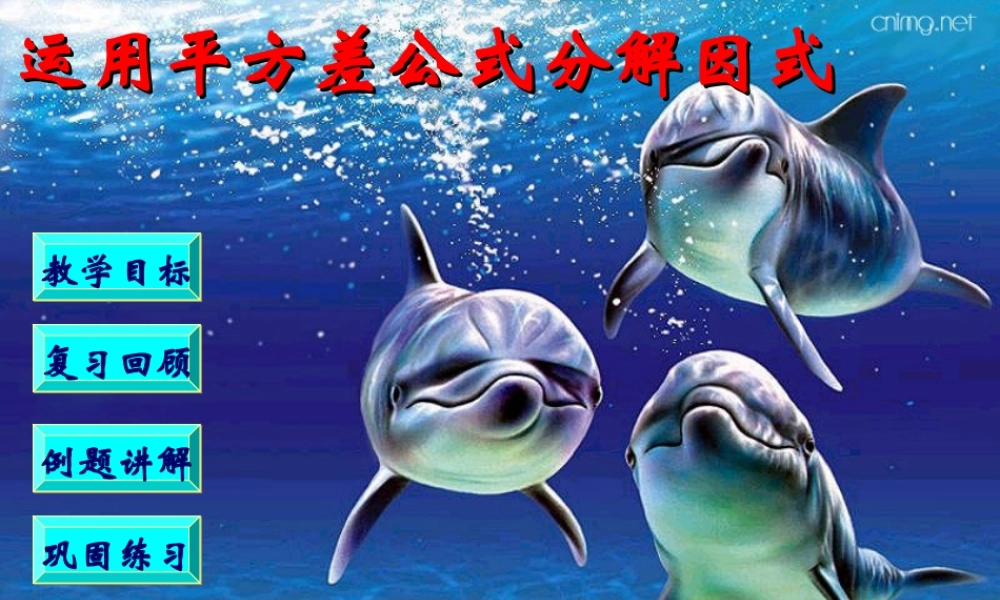 八年级数学因式分解 运用平方差公式课件 华师版 课件