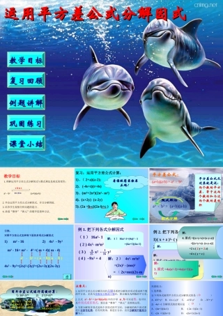 八年级数学因式分解 运用平方差公式课件 华师版 课件