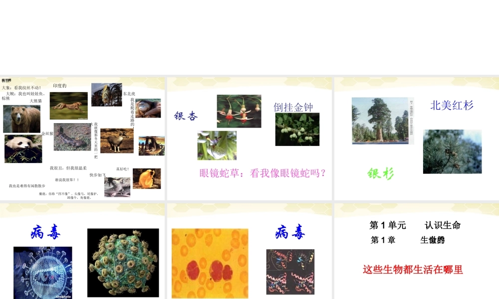 七年级生物上册 形形色色的生物1课件 北师大版 课件
