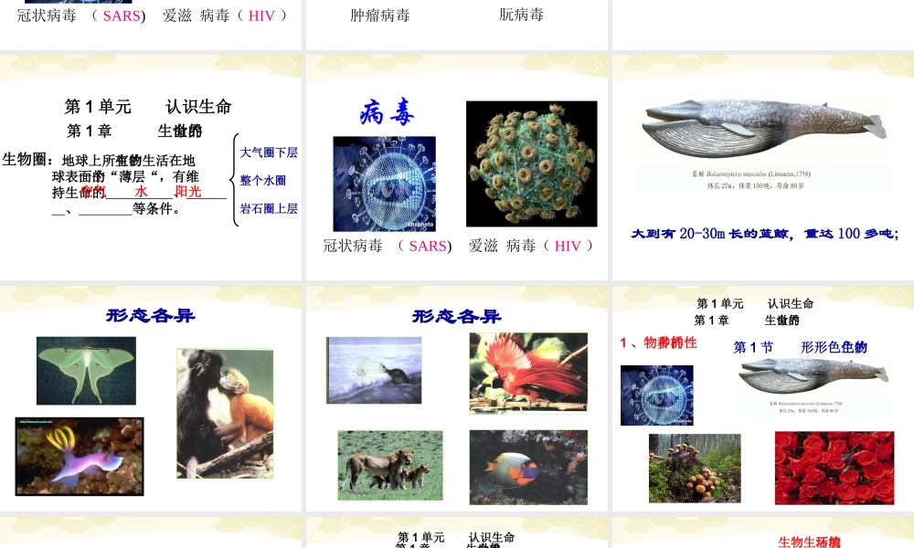七年级生物上册 形形色色的生物1课件 北师大版 课件