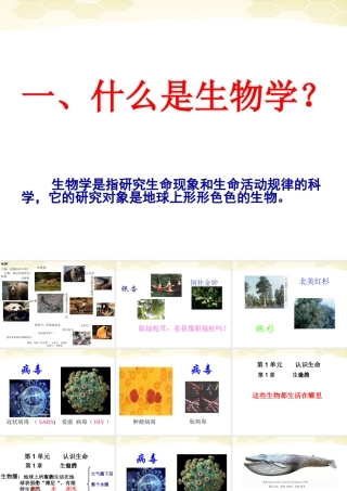 七年级生物上册 形形色色的生物1课件 北师大版 课件