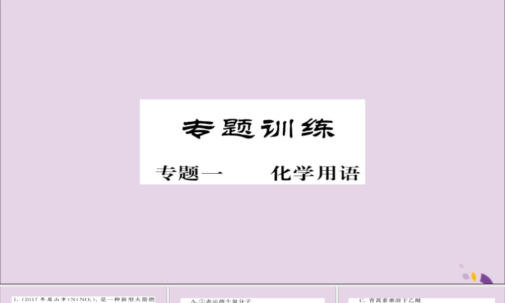 中考化学总复习 第二轮 专题训练 提升能力 专题一 化学用语练习课件