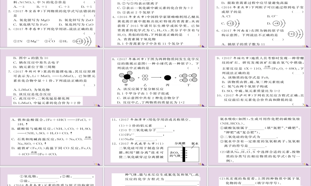 中考化学总复习 第二轮 专题训练 提升能力 专题一 化学用语练习课件