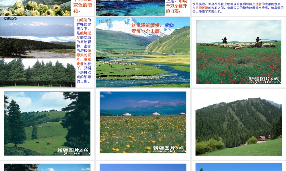 《七月的天山》01