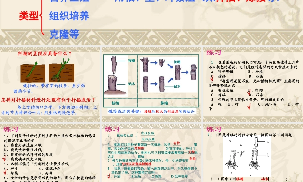 八年级下册生物复习课件A