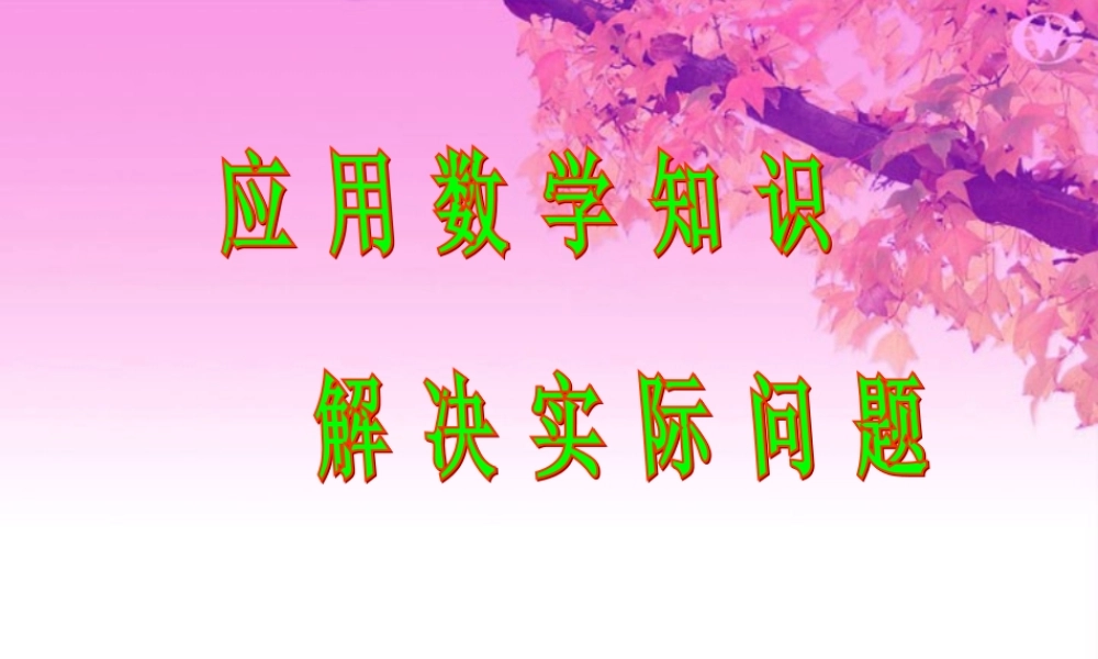 应用数学知识解决实际问题 课件