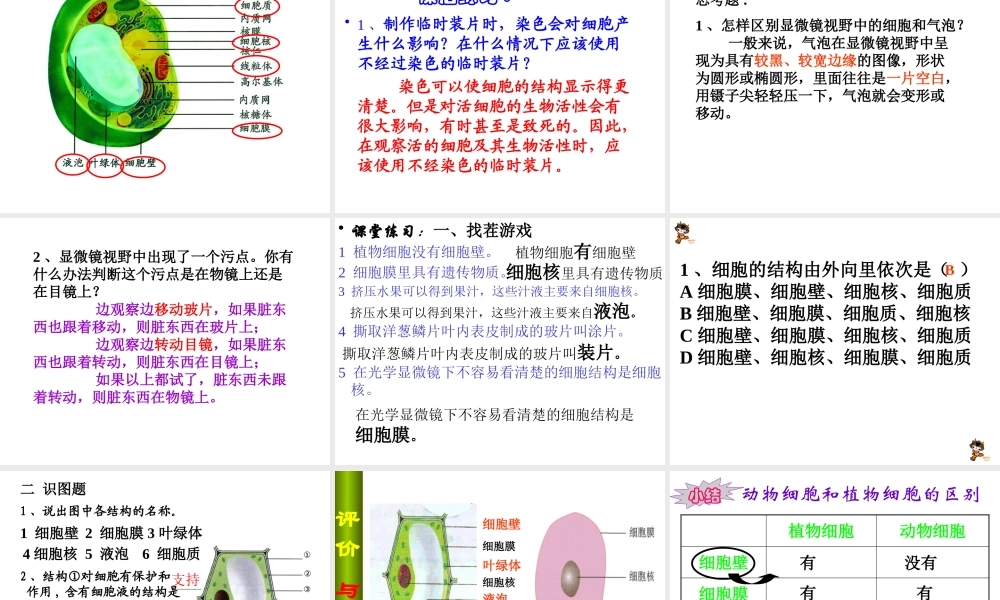 科学家的故事-施莱登、施旺与细胞学说