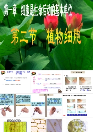 科学家的故事-施莱登、施旺与细胞学说