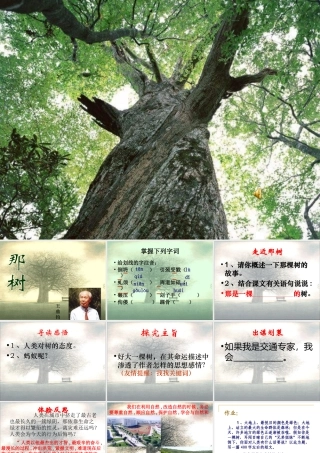 九年级语文那树课件