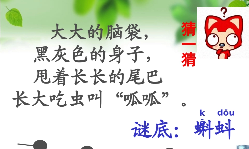 34小蝌蚪找妈妈