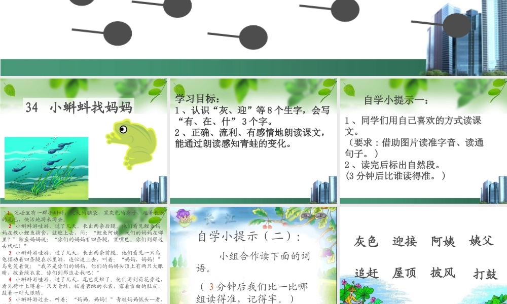 34小蝌蚪找妈妈