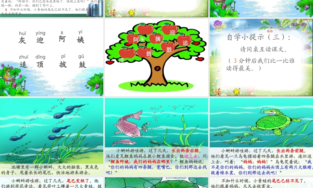 34小蝌蚪找妈妈