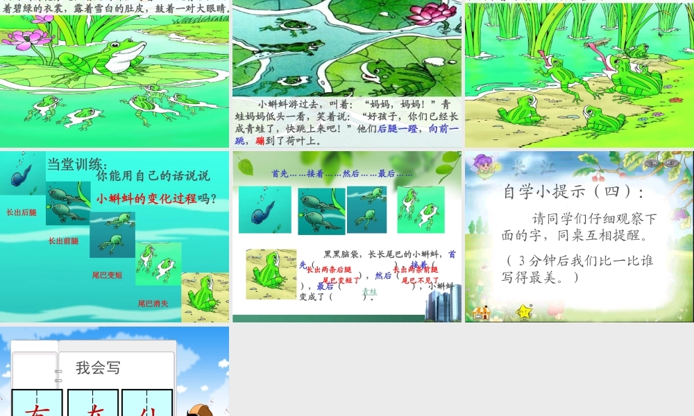 34小蝌蚪找妈妈