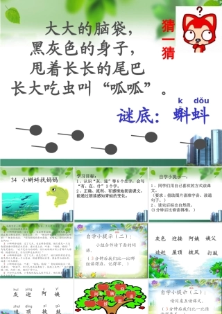 34小蝌蚪找妈妈