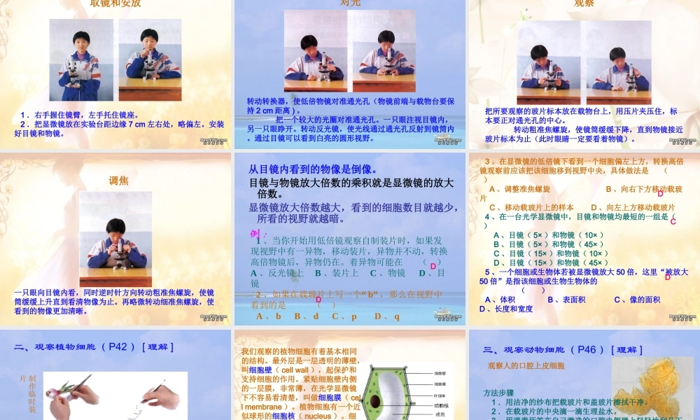 招生 综合生物科学习要点 人教版 课件