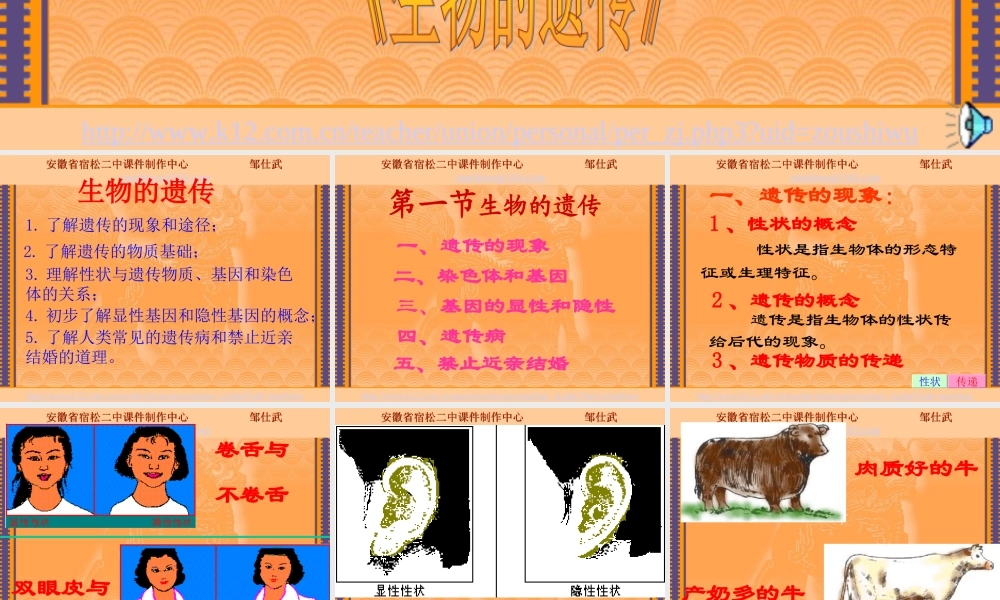 八年级生物生物的遗传课件