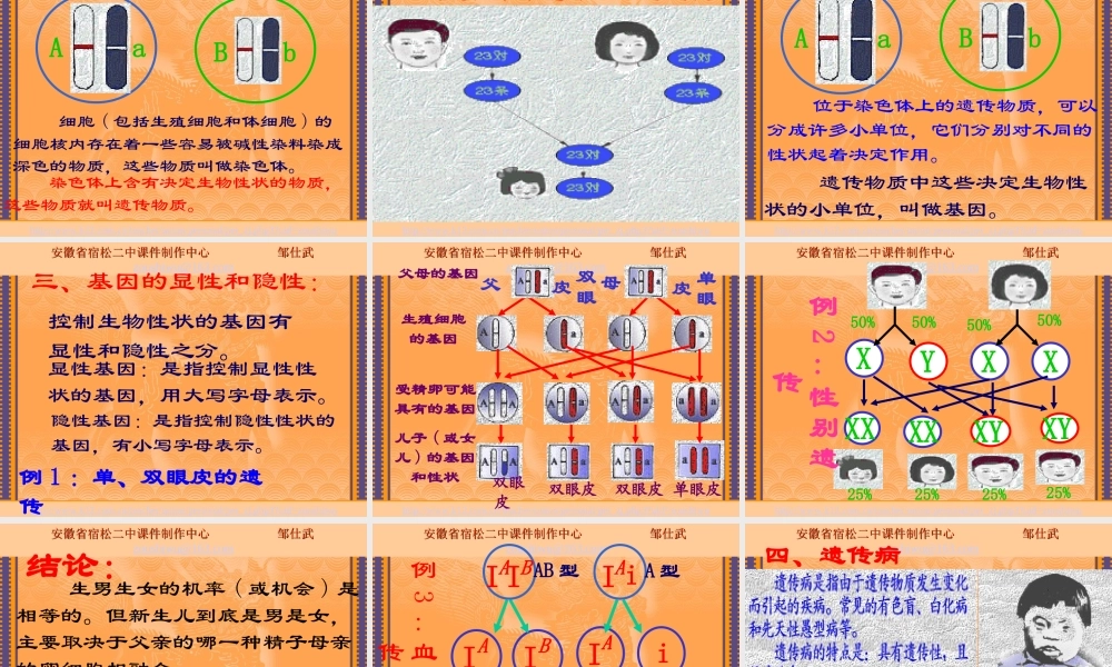 八年级生物生物的遗传课件