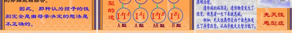 八年级生物生物的遗传课件